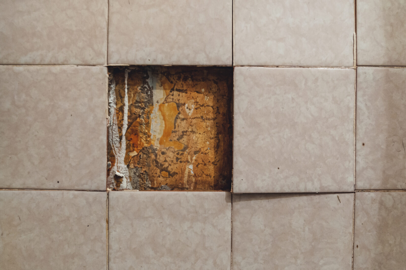 Why Most Bathroom Tile Choices Fail (The WS Bath Fly 3050 Fix)