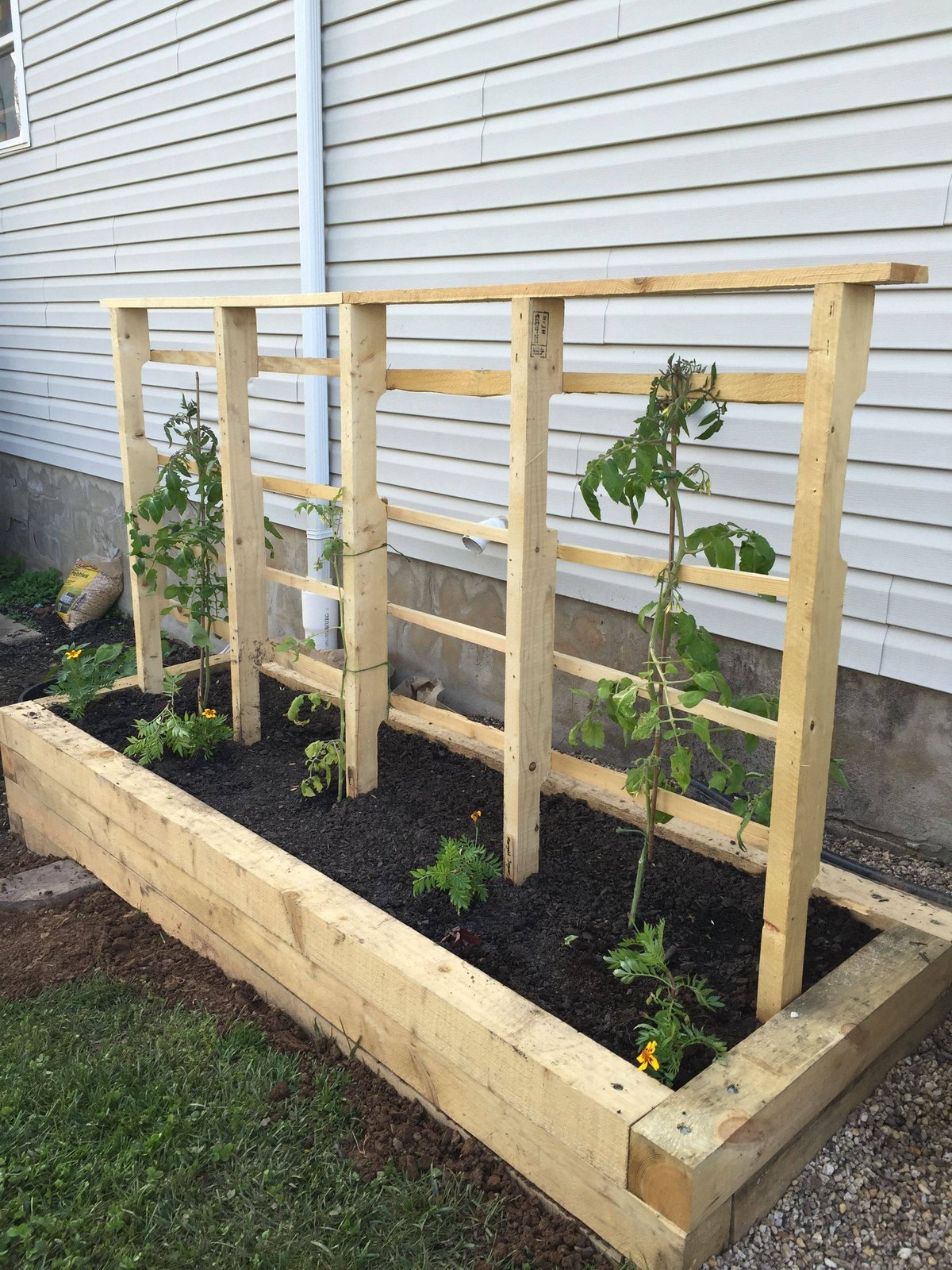 Choosing the Right Trellis for Your Raised Garden Bed Plants