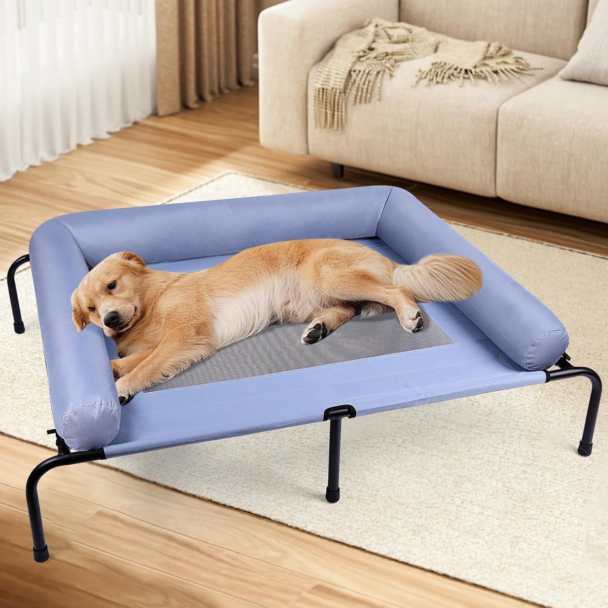 elevated dog beds for large dogs