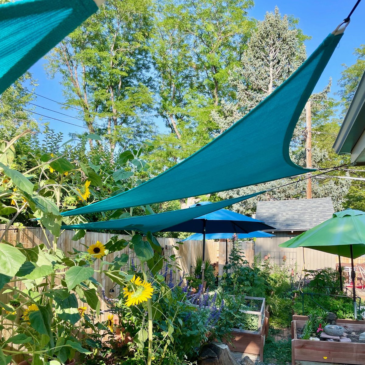 how to make shade in backyard