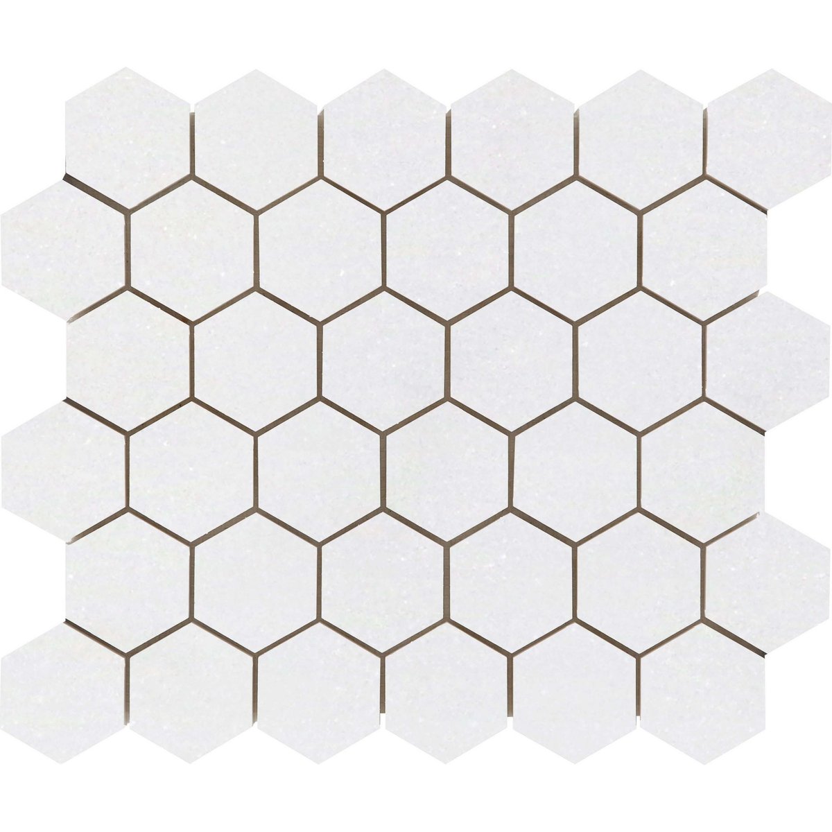 The Timeless Appeal of Honed Thassos White Marble Penny Mosaic