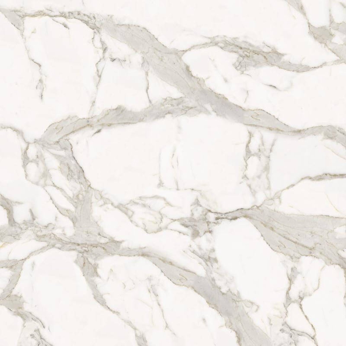 The Craftsmanship Behind Honed Venato Bianco Mosaic Tiles