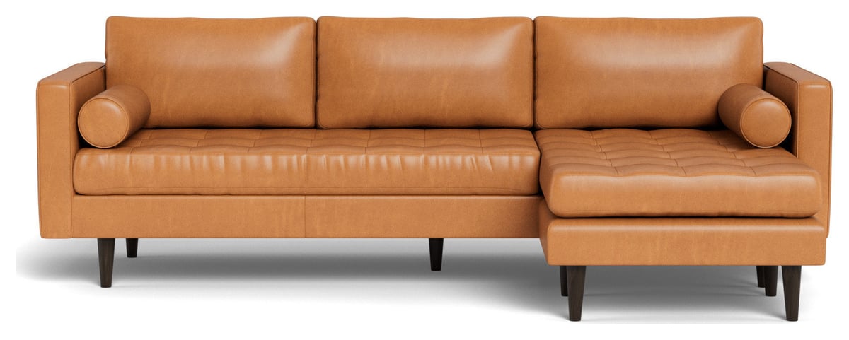 The Unexpected Harmony of Hudson Lager and Leather Sofas