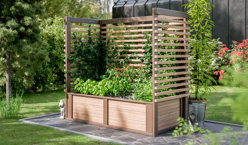 Choosing the Right Trellis for Your Raised Garden Bed Plants 5