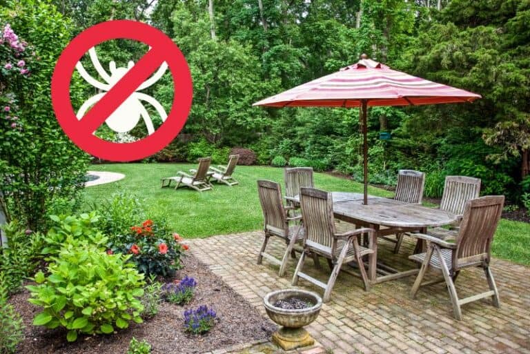 Crafting a Serene Patio Space Keeping Spiders Gently Away 3