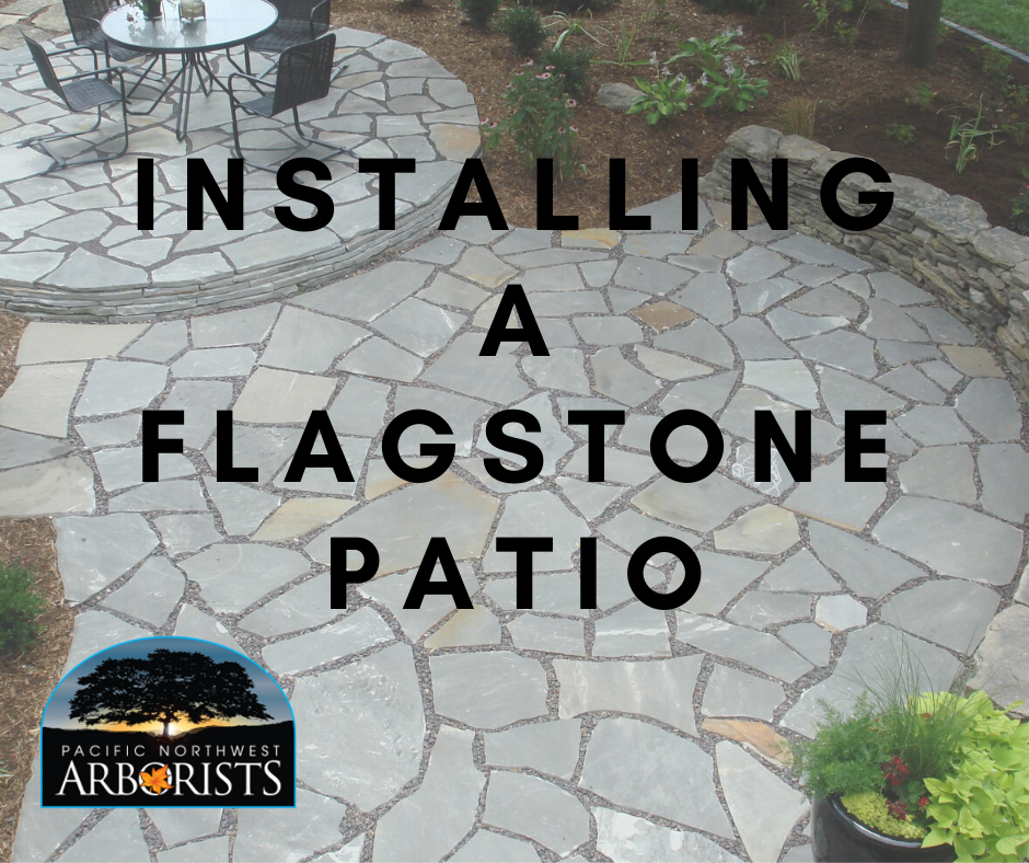 Crafting Your Dream Flagstone Patio A Step-by-Step Guide from the Ground 3