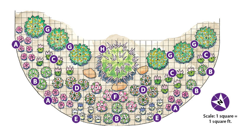 deer resistant landscape design plans 2