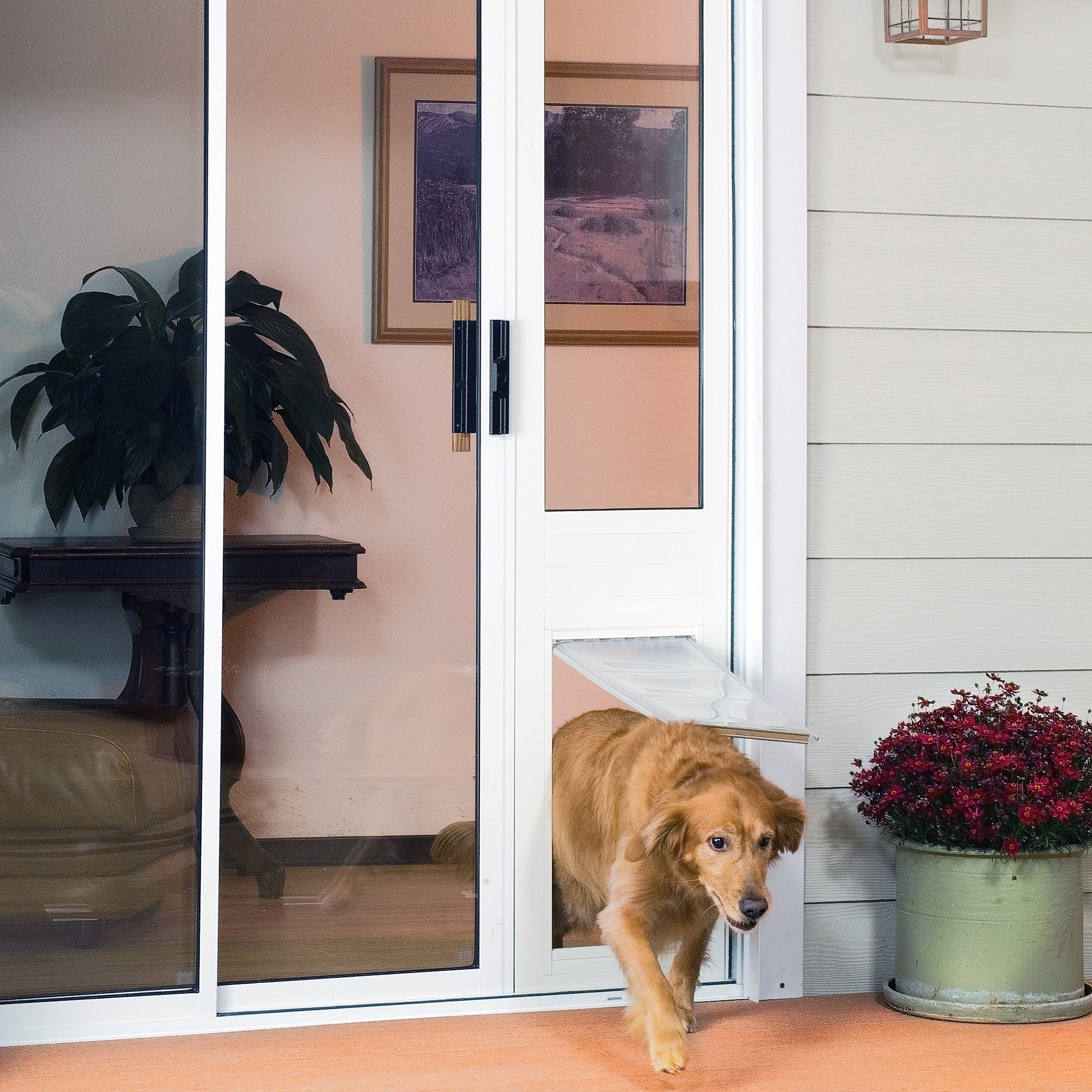 dog door for glass patio door 2