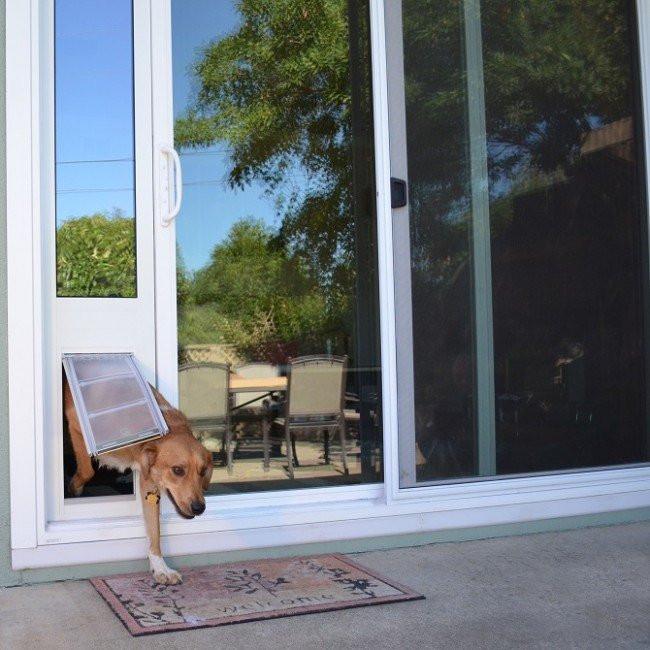 dog door for glass patio door 4