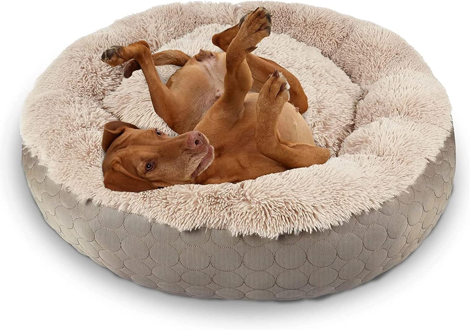 donut dog bed for large dogs 1