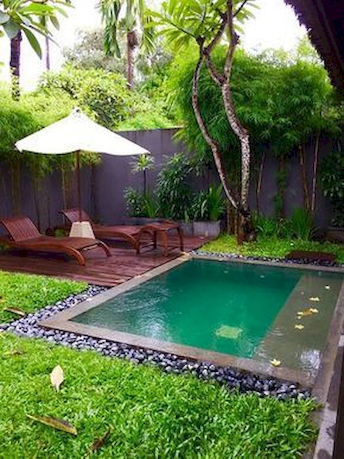 Dreaming of a Backyard Oasis Building Your Own Natural Swim Pond 4