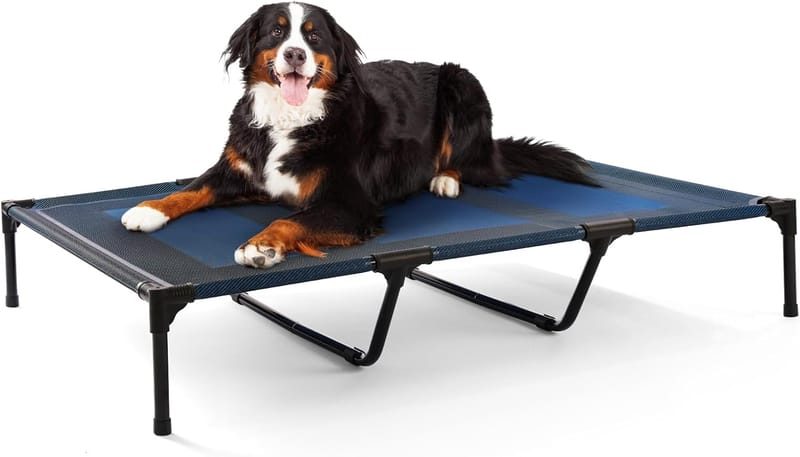 elevated dog beds for large dogs 2
