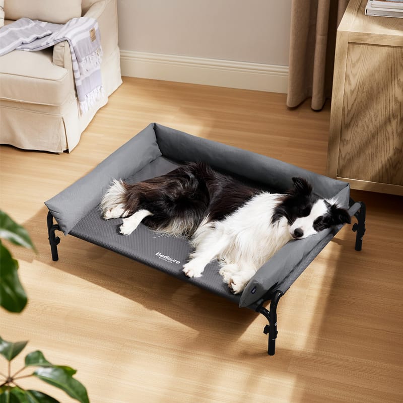 elevated dog beds for large dogs 5