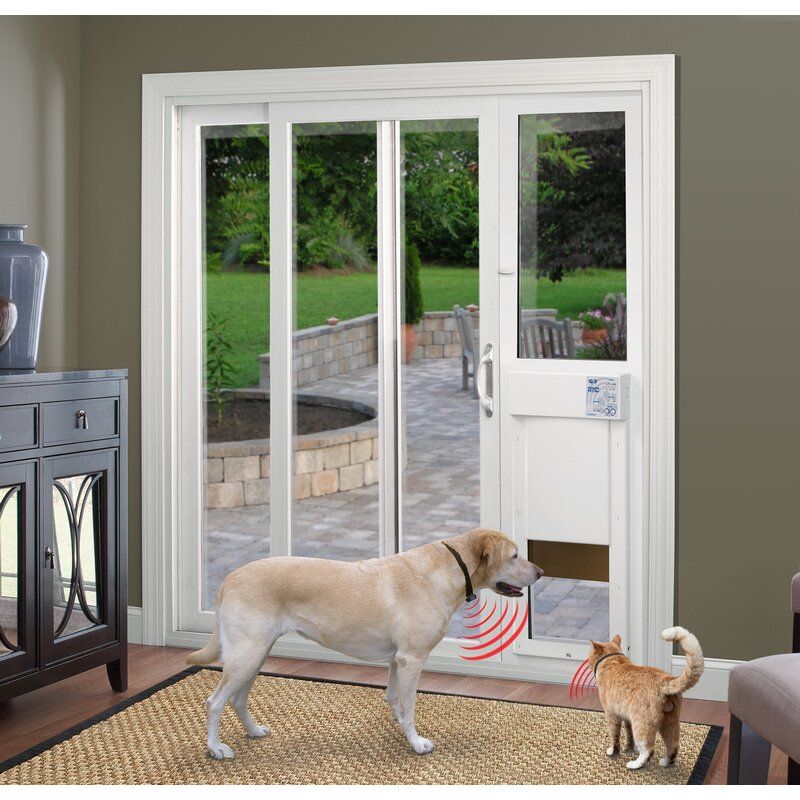 french patio door with dog door 2