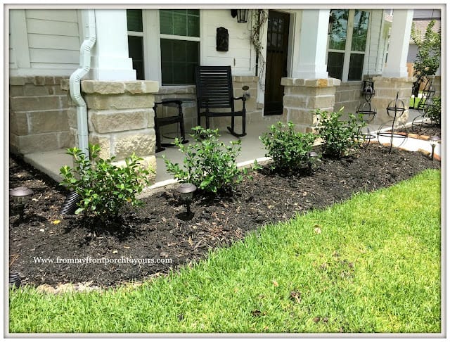 gardenia front yard landscaping ideas 5