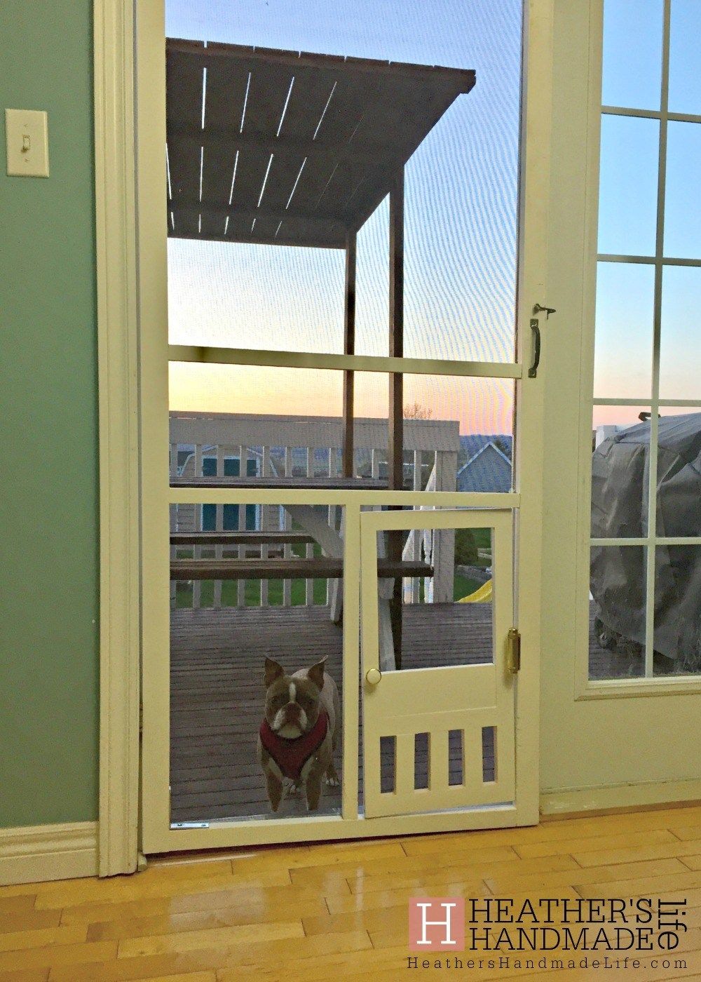 Giving Your Dog the Freedom of the Porch A Guide 3