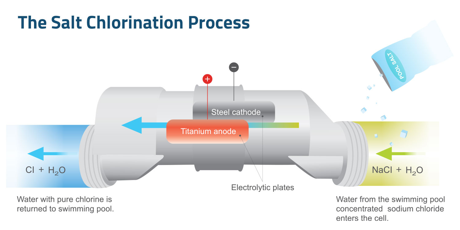 how do you add salt to a saltwater pool 5