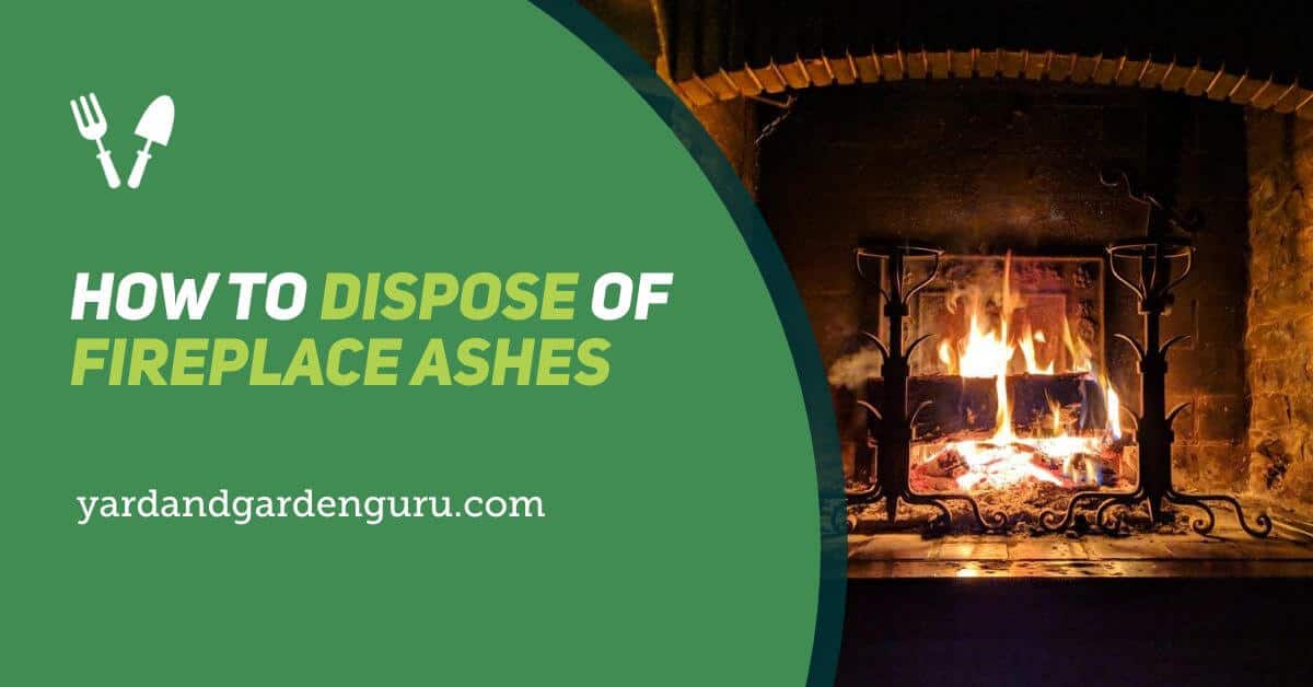 how do you dispose of fireplace ashes 2
