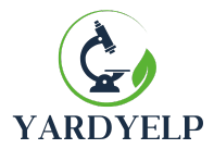 how do you get rid of hawks in your yard 5