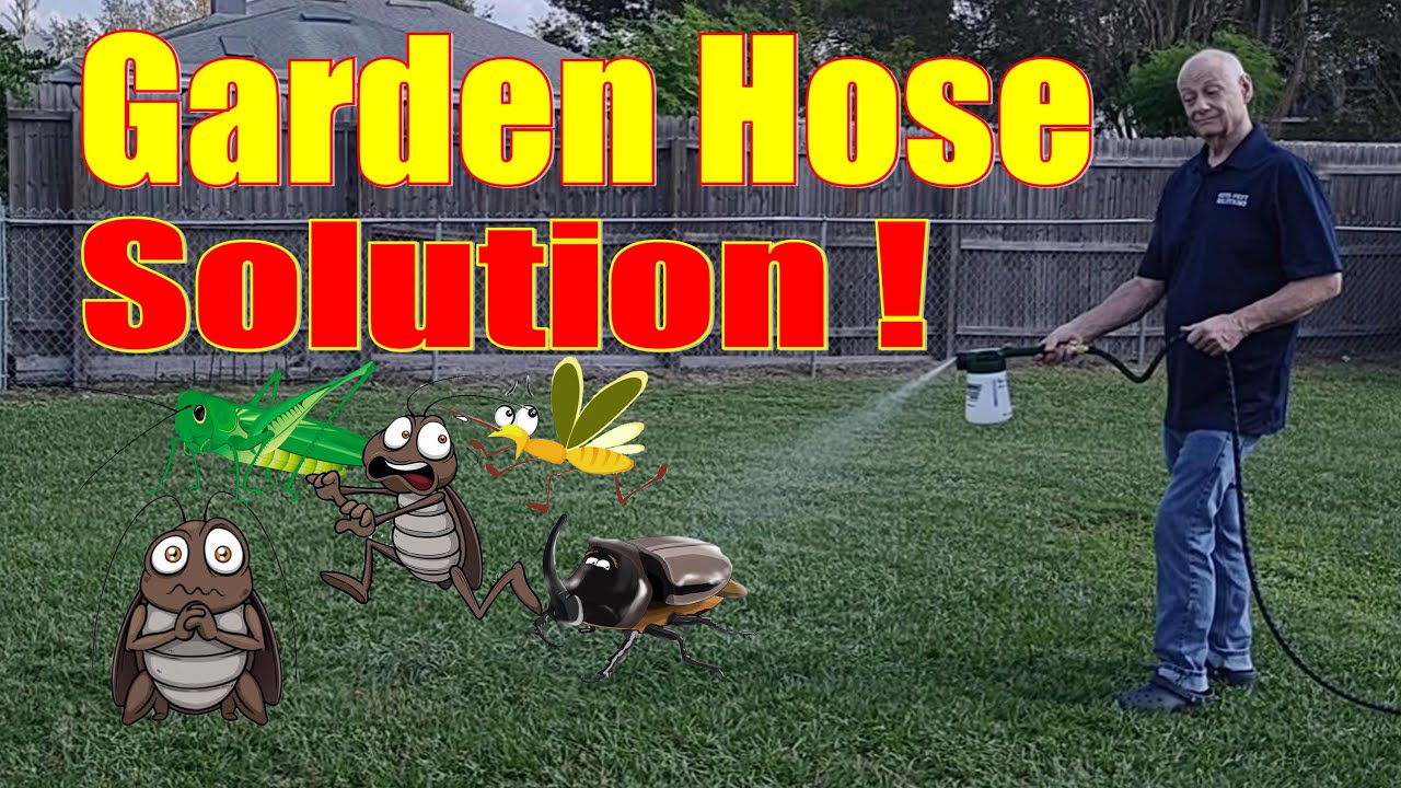 how to get rid of insects in yard 2