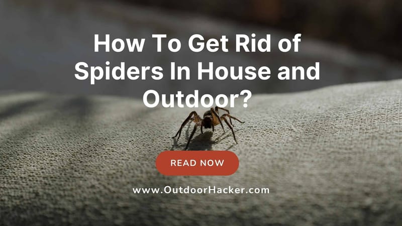 how to get rid of spiders on porch 5