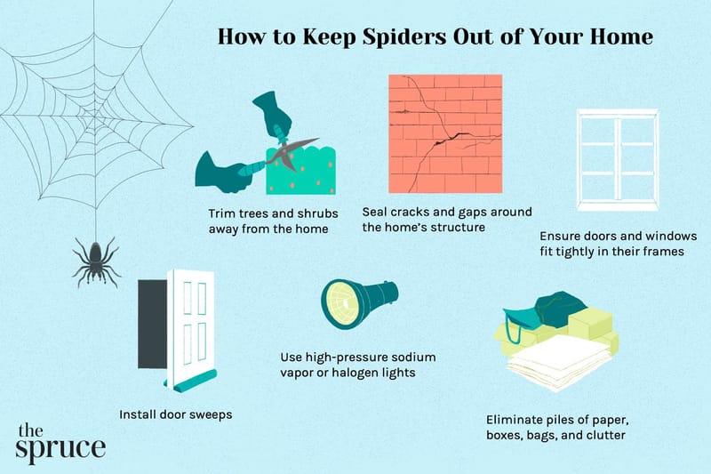 how to get rid of spiders on porch 2