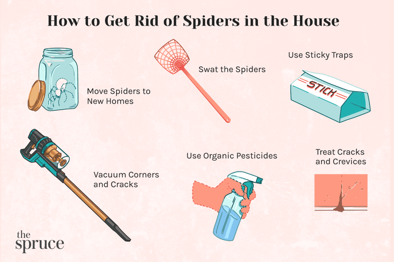how to get rid of spiders on porch 1