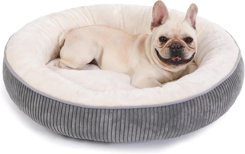 Keeping Your Dog Cozy and Clean with Donut Beds and Removable Covers 3