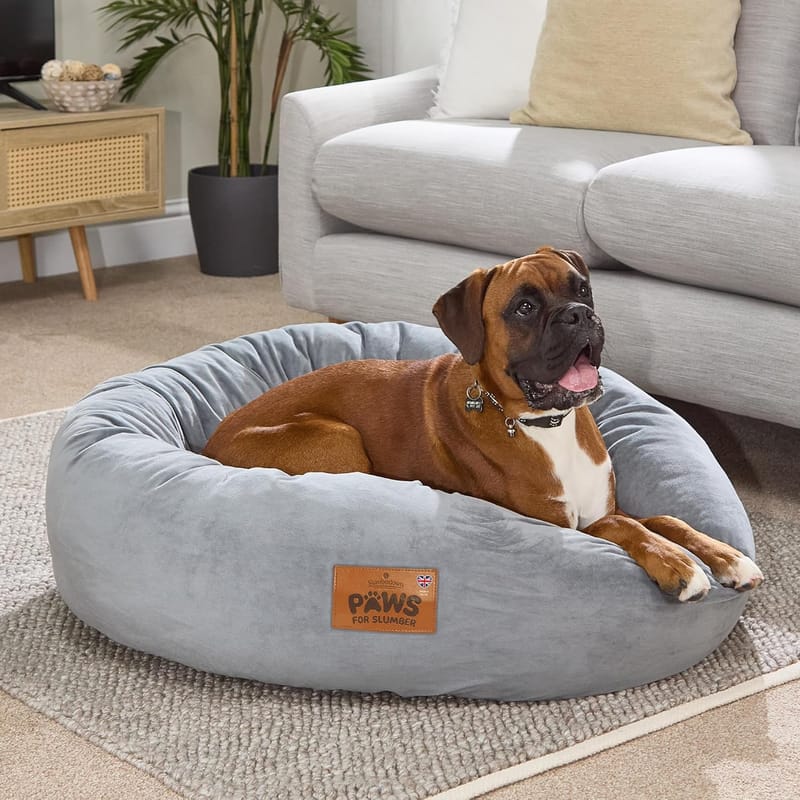 Keeping Your Dog Cozy and Clean with Donut Beds and Removable Covers 5