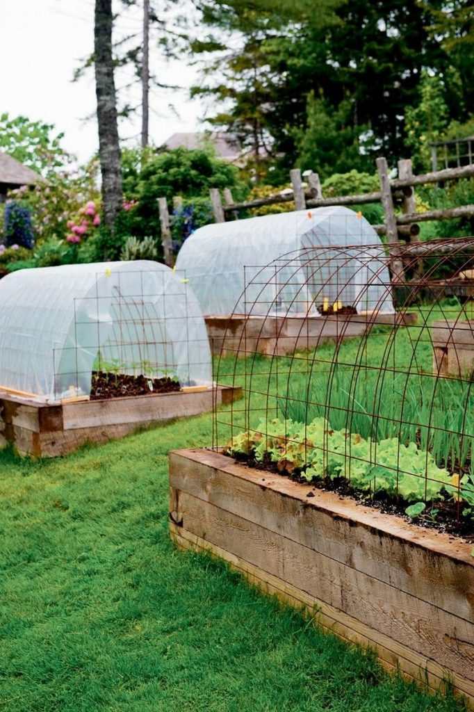 Maximizing Light and Heat with Raised Bed Greenhouse Covers 3