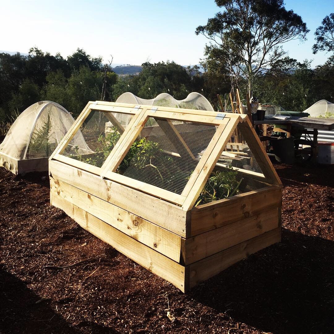 Maximizing Light and Heat with Raised Bed Greenhouse Covers 4
