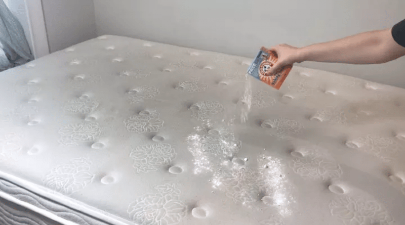 Memory Foam Mattress Care Unveiling the Best Cleaning Methods 3
