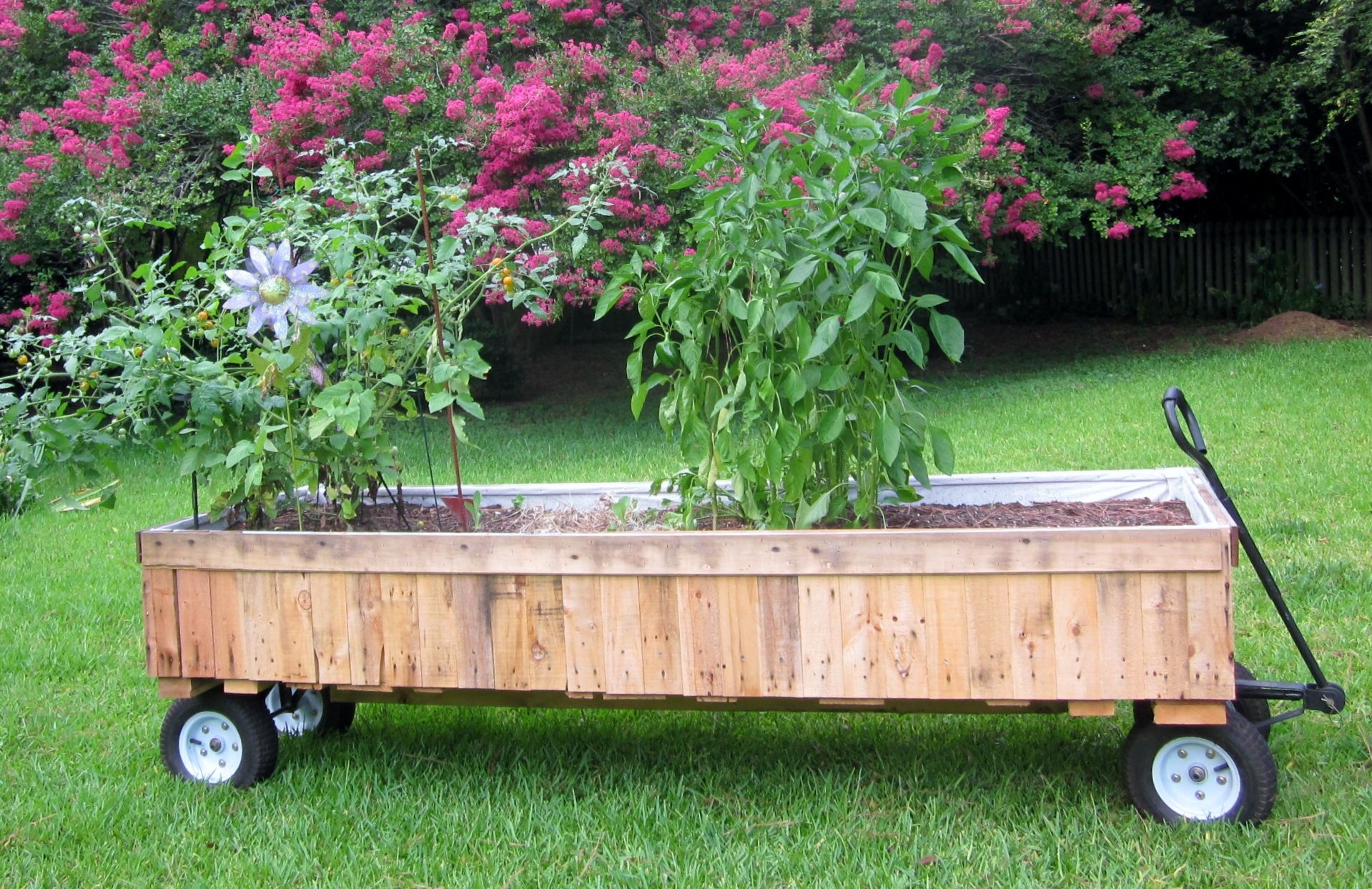 raised bed garden on wheels 4