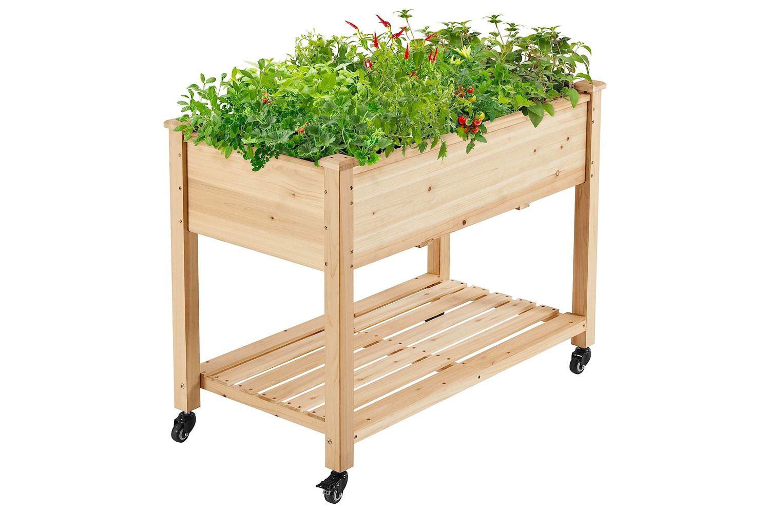 raised bed garden on wheels 5