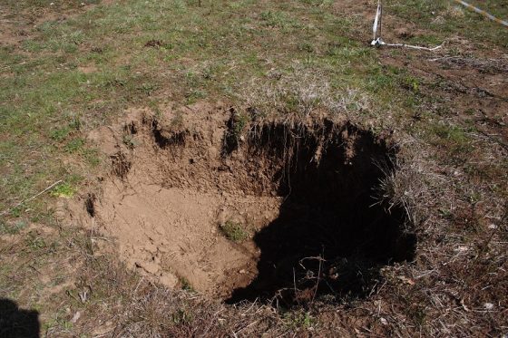 signs of a sinkhole in your yard 5