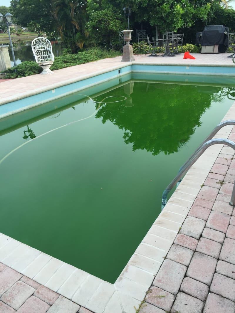 swimming pool acid wash cost 4