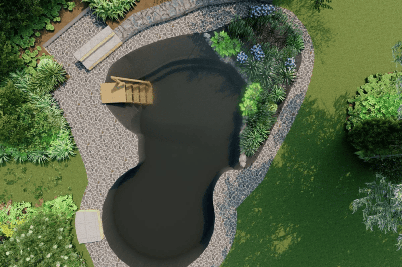 swimming pool to pond conversion 2