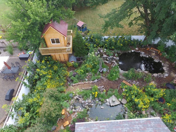 swimming pool to pond conversion 5