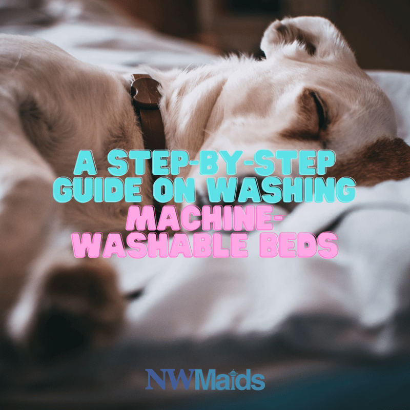 The Ultimate Guide to a Spotless and Fresh Dog Bed 2