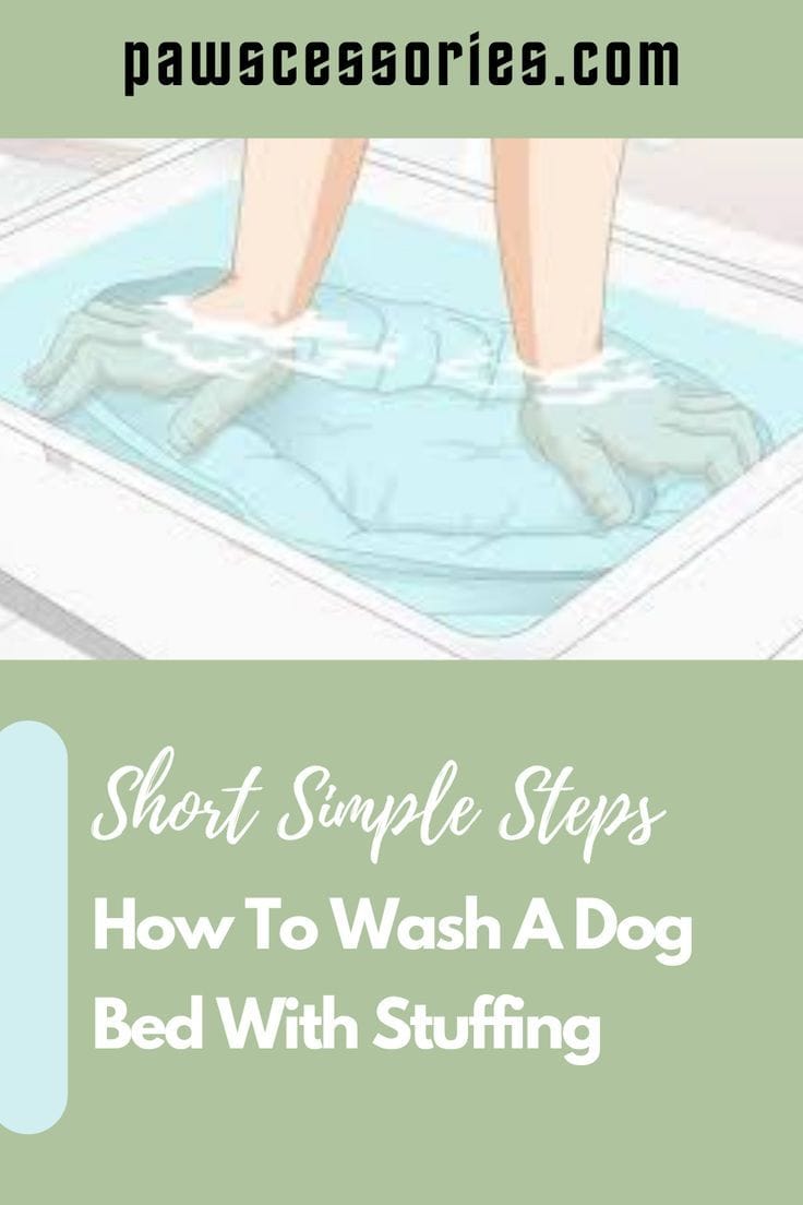 The Ultimate Guide to a Spotless and Fresh Dog Bed 3