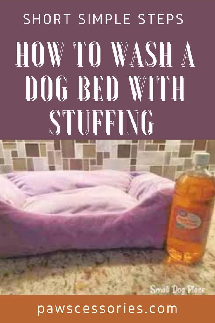 The Ultimate Guide to a Spotless and Fresh Dog Bed 5