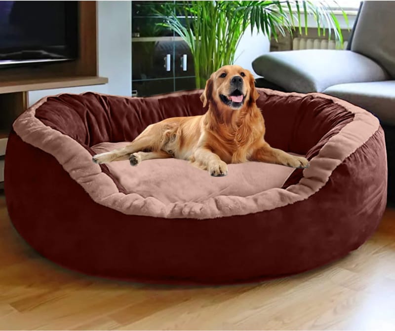 The Ultimate Guide to Choosing the Perfect Round Dog Bed for Your Gentle Giant 4