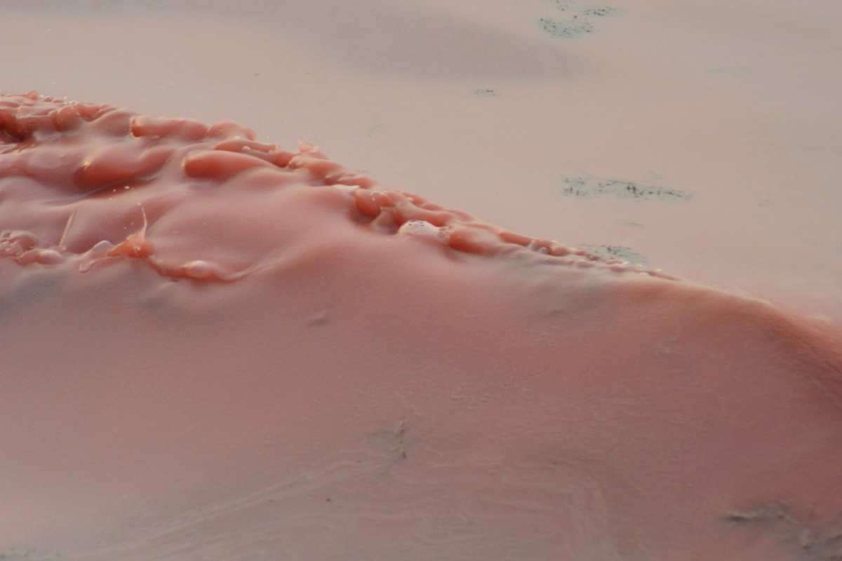 Understanding the Pink Slime in Your Pool What It Is and How to Tackle It 2