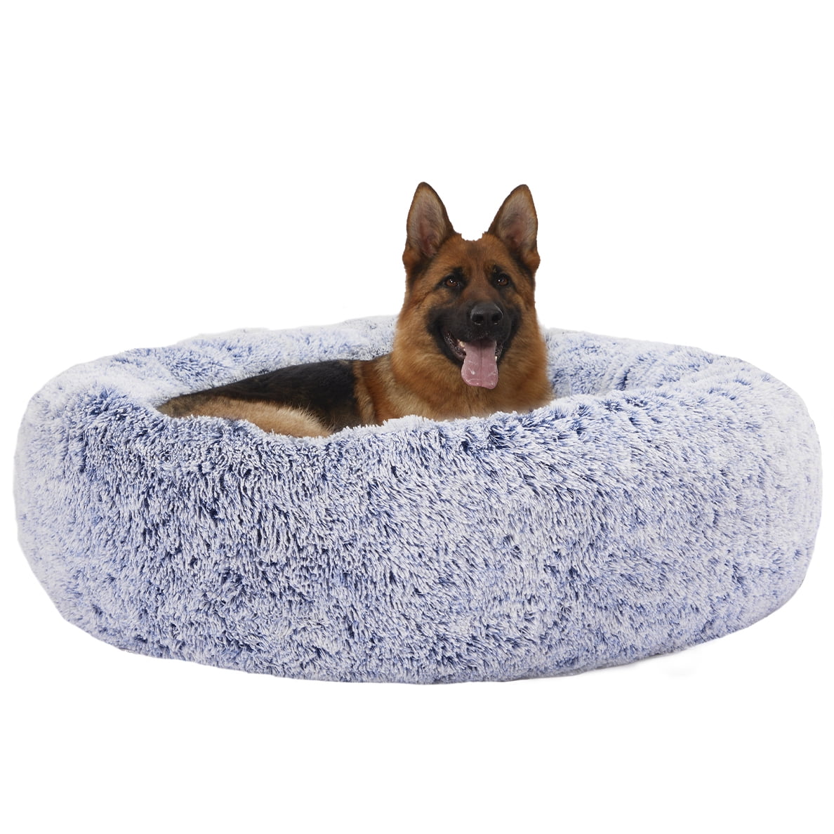 Unlocking Your Giant Dog's Best Sleep Understanding Don 2