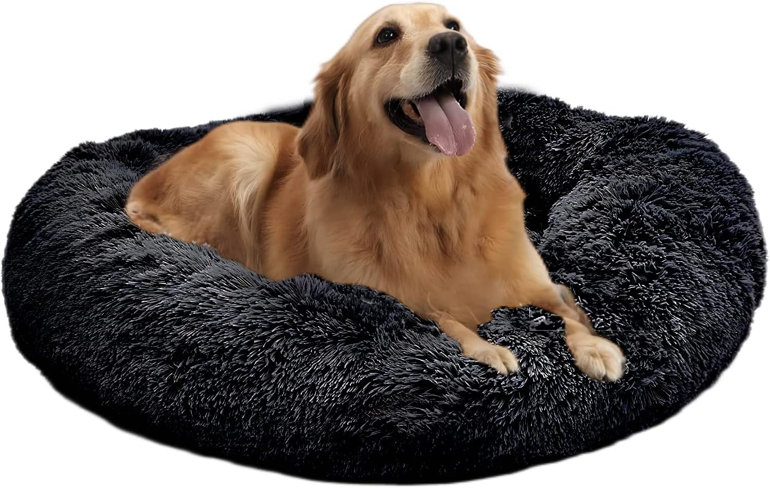 Unlocking Your Giant Dog's Best Sleep Understanding Don 3