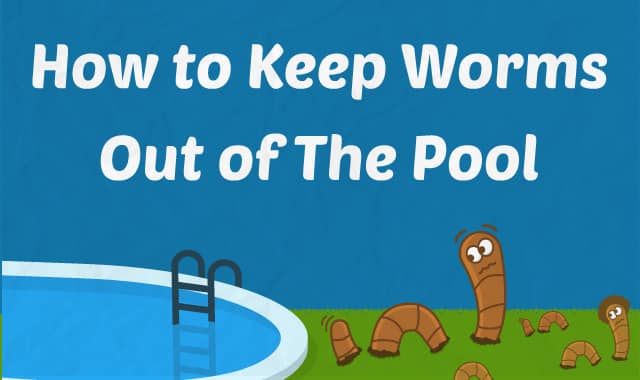 Unmasking the Mystery of Little Red Worms in Your Swimming Pool 4