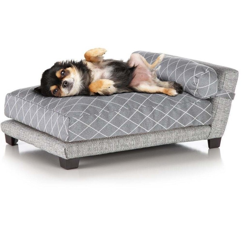 Unveiling the Comfort Secrets of the Perfect Dog Bed 1