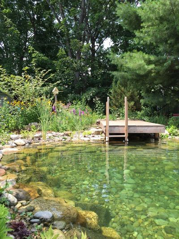Dreaming of a Backyard Oasis Building Your Own Natural Swim Pond