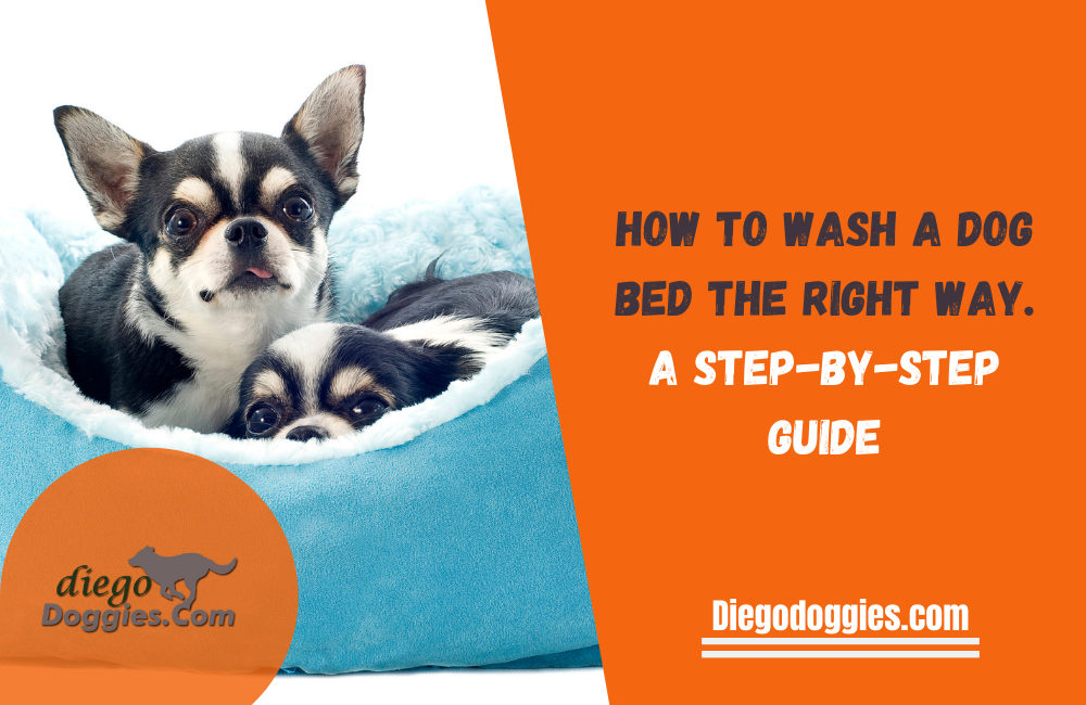 The Ultimate Guide to a Spotless and Fresh Dog Bed